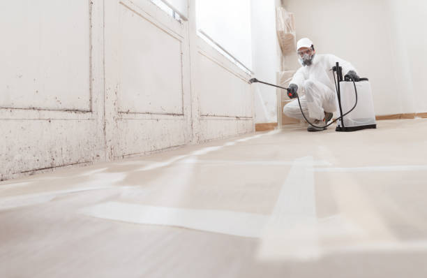 24/7 Emergency Black Mold Remediation experts in Forest Park, GA